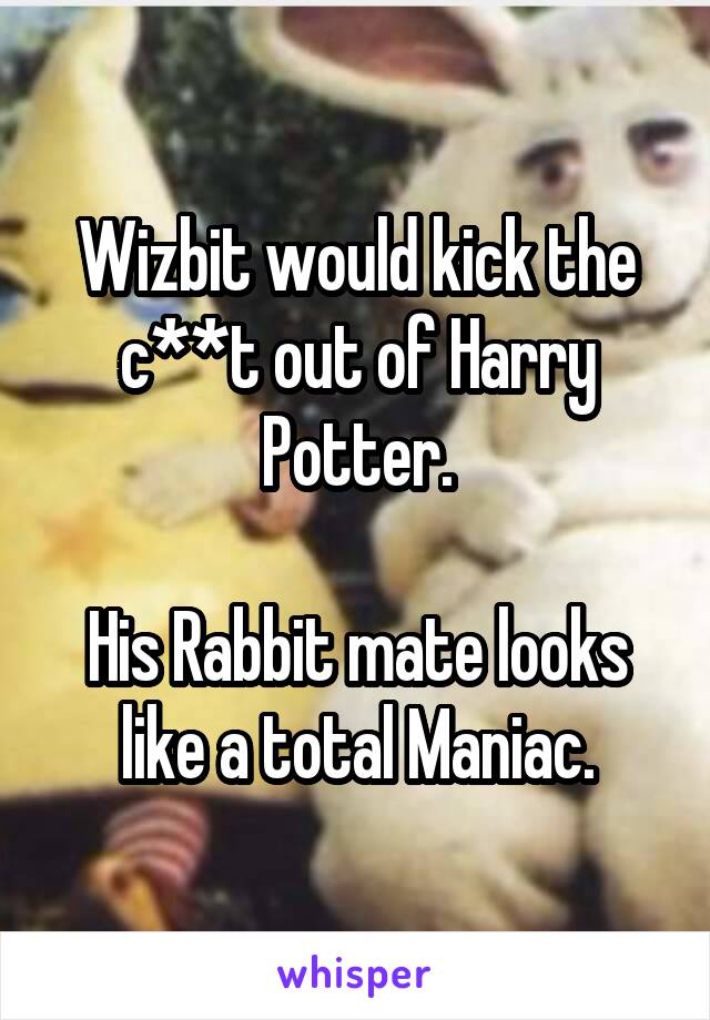 Wizbit would kick the c**t out of Harry Potter.

His Rabbit mate looks like a total Maniac.