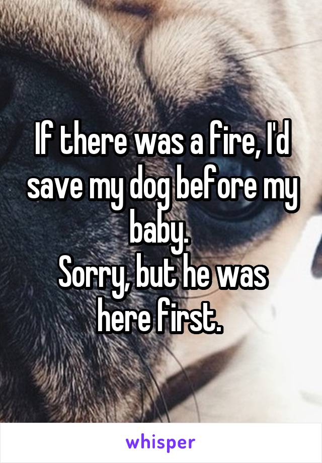 If there was a fire, I'd save my dog before my baby. 
Sorry, but he was here first. 