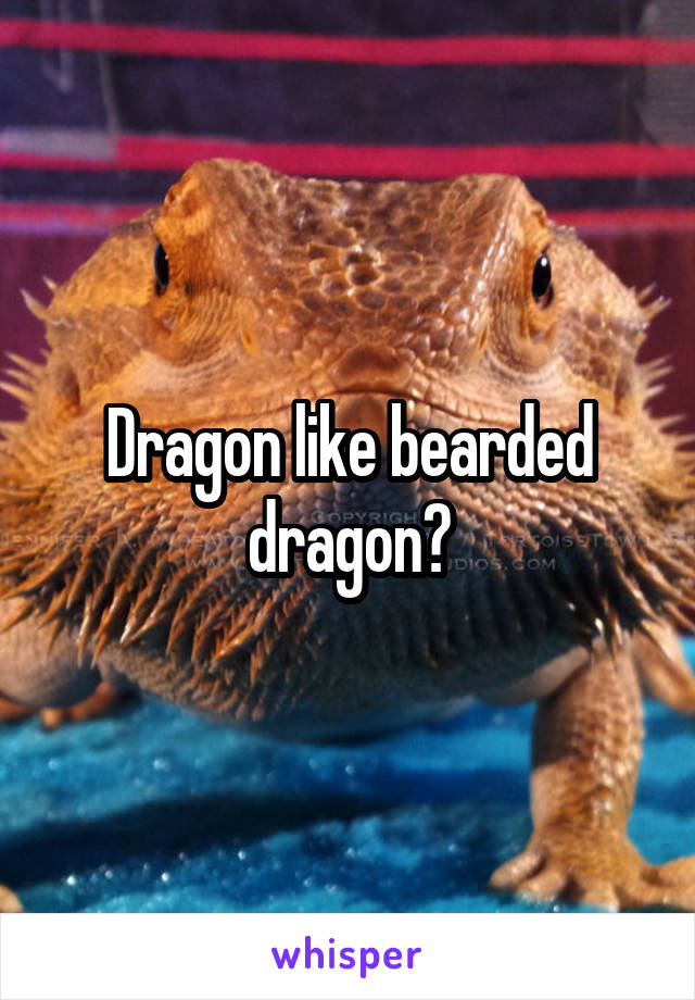 Dragon like bearded dragon?