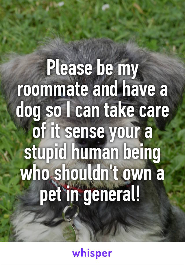 Please be my roommate and have a dog so I can take care of it sense your a stupid human being who shouldn't own a pet in general! 