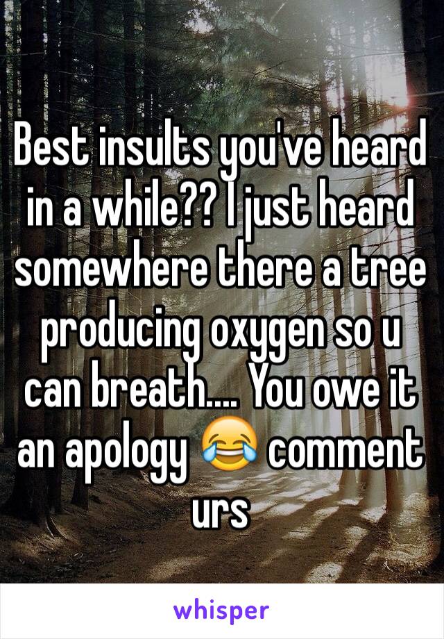 Best insults you've heard in a while?? I just heard somewhere there a tree producing oxygen so u can breath.... You owe it an apology 😂 comment urs 