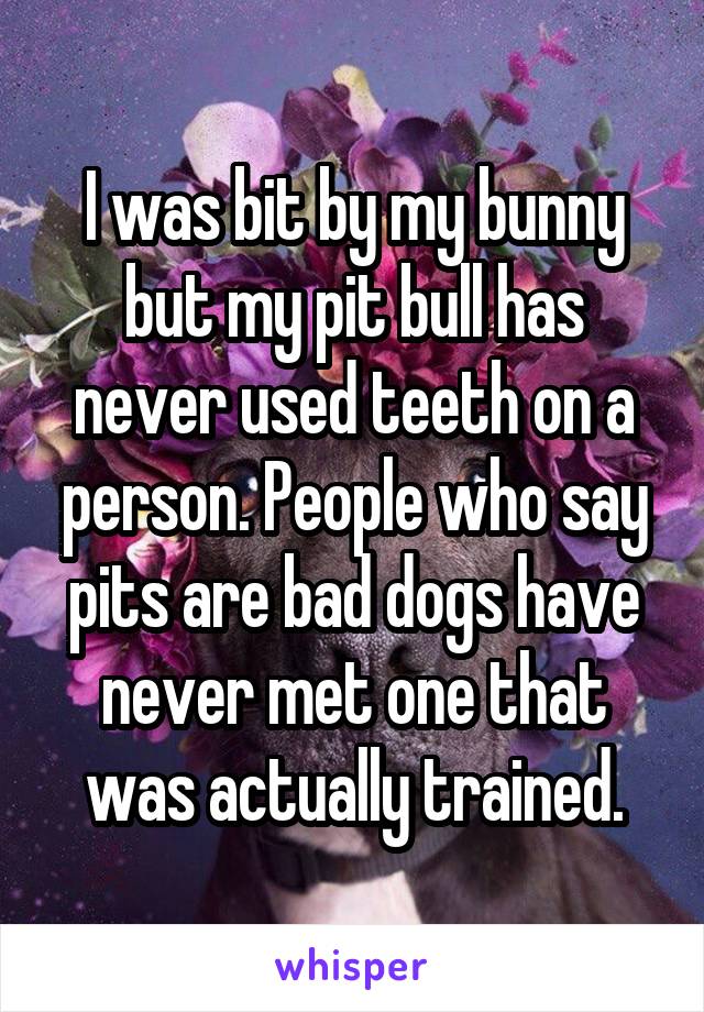 I was bit by my bunny but my pit bull has never used teeth on a person. People who say pits are bad dogs have never met one that was actually trained.