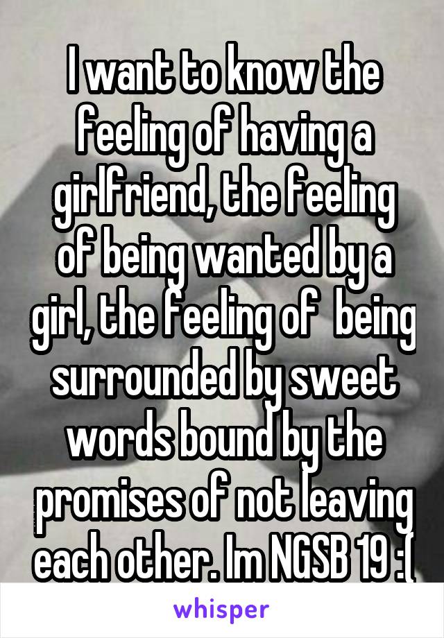 I want to know the feeling of having a girlfriend, the feeling of being wanted by a girl, the feeling of  being surrounded by sweet words bound by the promises of not leaving each other. Im NGSB 19 :(