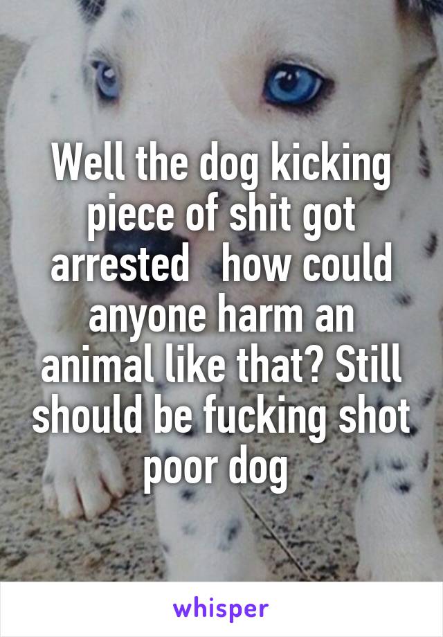 Well the dog kicking piece of shit got arrested   how could anyone harm an animal like that? Still should be fucking shot poor dog 