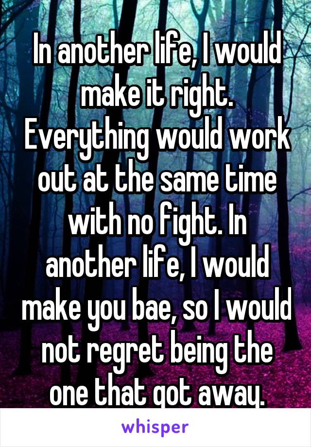 In another life, I would make it right. Everything would work out at the same time with no fight. In another life, I would make you bae, so I would not regret being the one that got away.