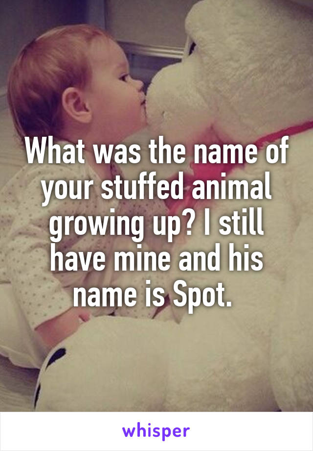 What was the name of your stuffed animal growing up? I still have mine and his name is Spot. 