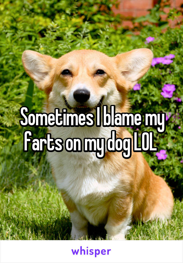 Sometimes I blame my farts on my dog LOL 