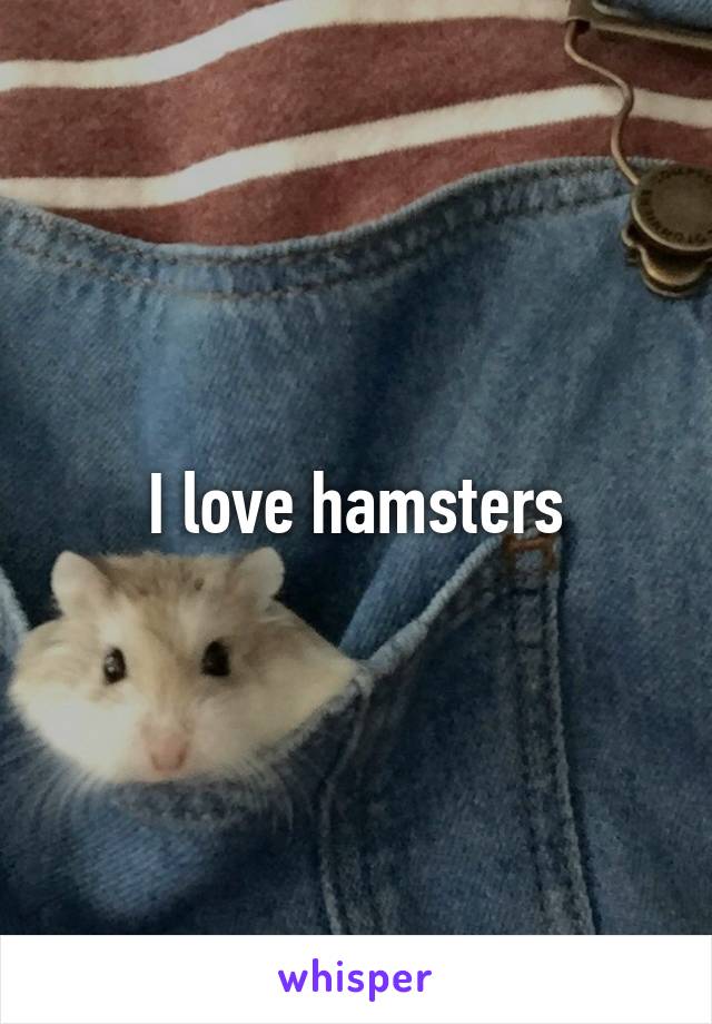 I love hamsters