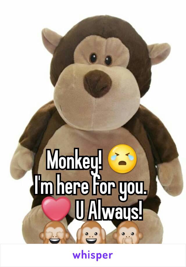 Monkey! 😭
I'm here for you. 
❤ U Always! 
🙈 🙉 🙊 