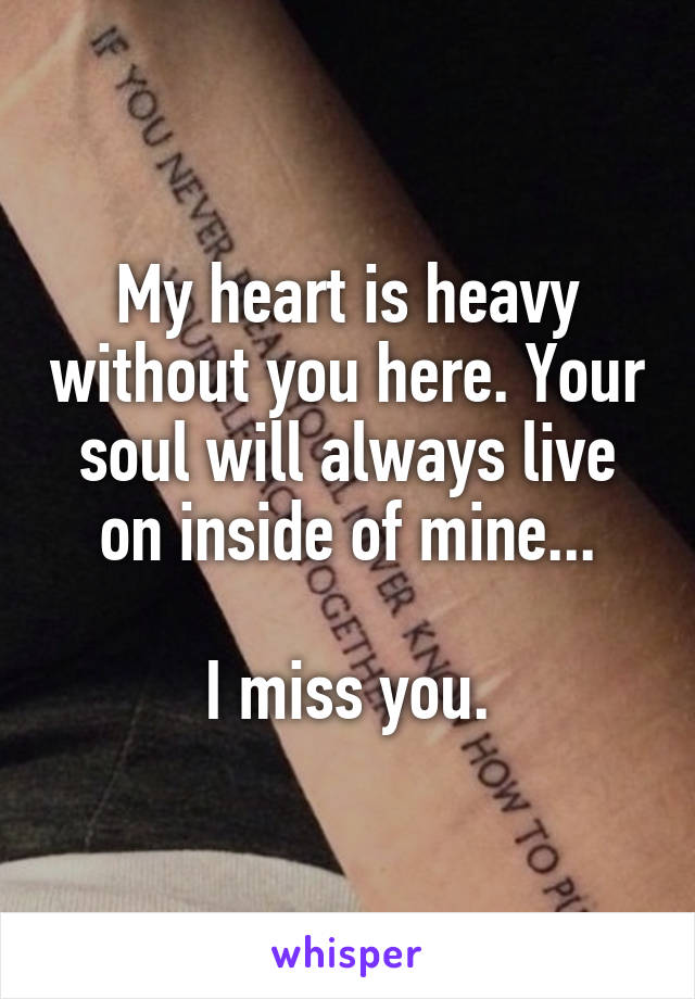 My heart is heavy without you here. Your soul will always live on inside of mine...

I miss you.