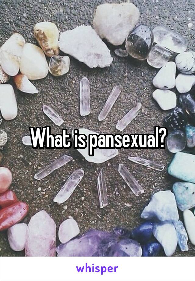 What is pansexual?