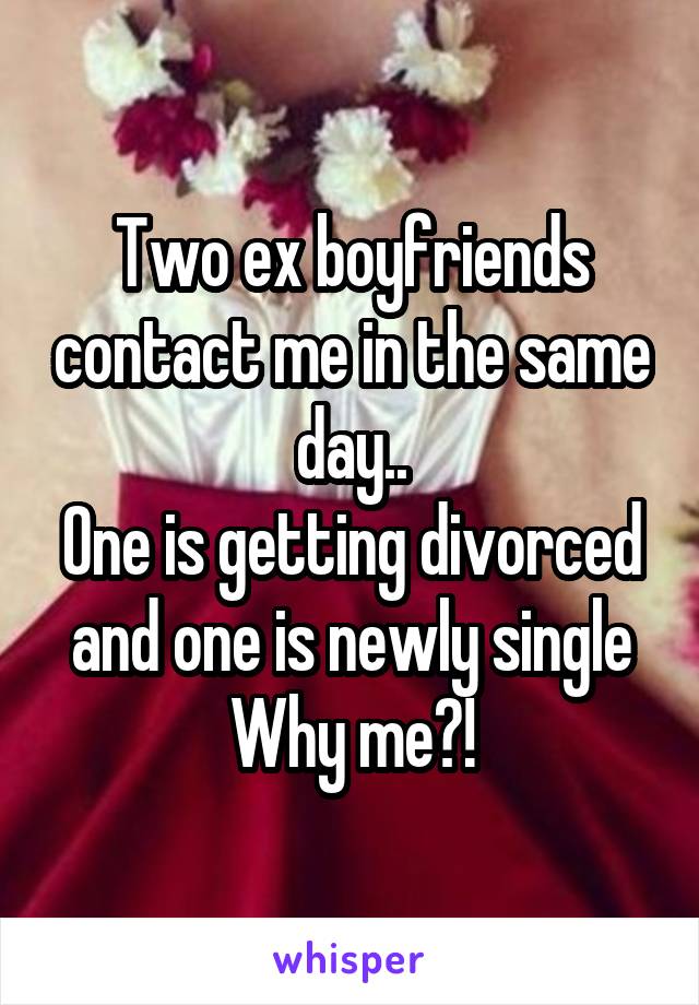 Two ex boyfriends contact me in the same day..
One is getting divorced and one is newly single
Why me?!