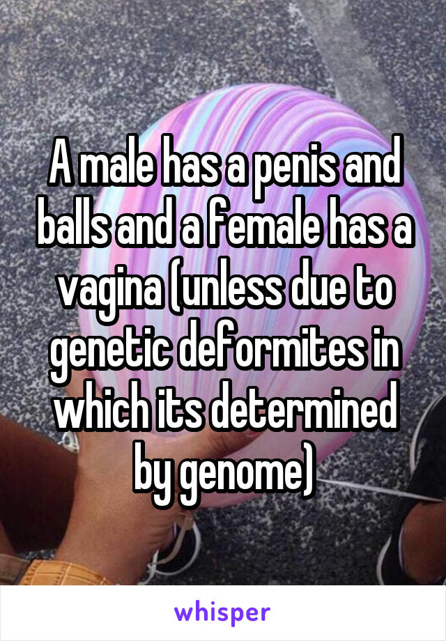 A male has a penis and balls and a female has a vagina (unless due to genetic deformites in which its determined by genome)