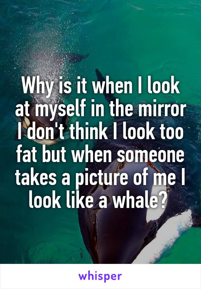 Why is it when I look at myself in the mirror I don't think I look too fat but when someone takes a picture of me I look like a whale? 