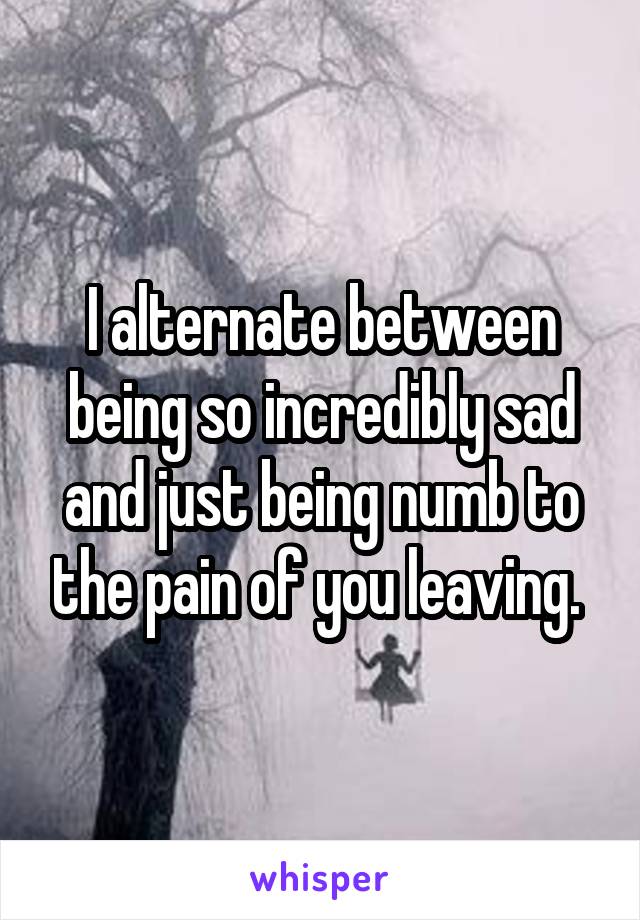 I alternate between being so incredibly sad and just being numb to the pain of you leaving. 