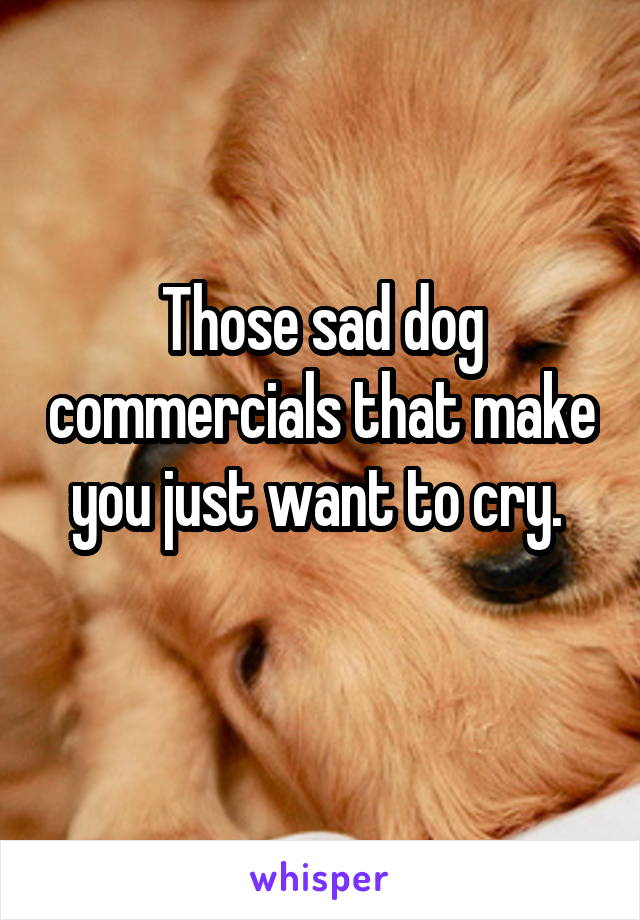 Those sad dog commercials that make you just want to cry. 
