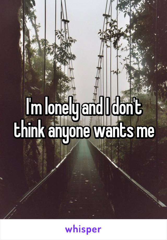 I'm lonely and I don't think anyone wants me