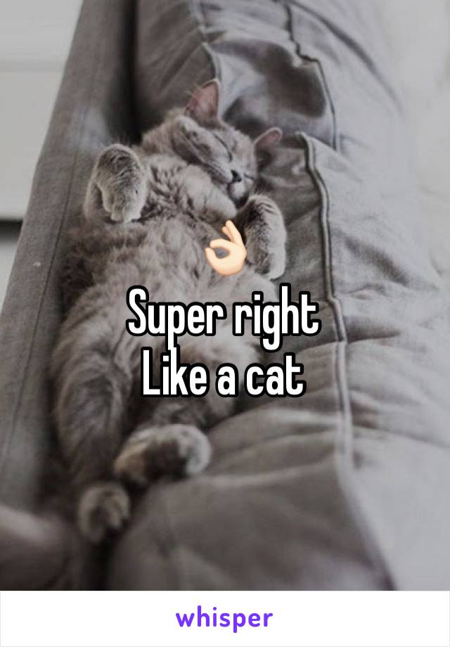 👌🏻
Super right 
Like a cat
