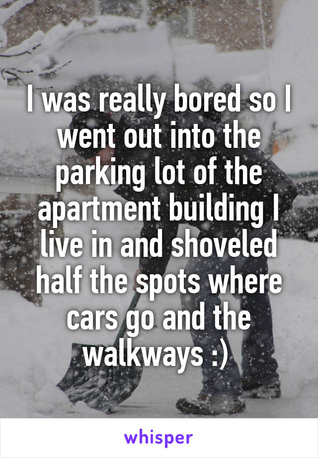 I was really bored so I went out into the parking lot of the apartment building I live in and shoveled half the spots where cars go and the walkways :) 