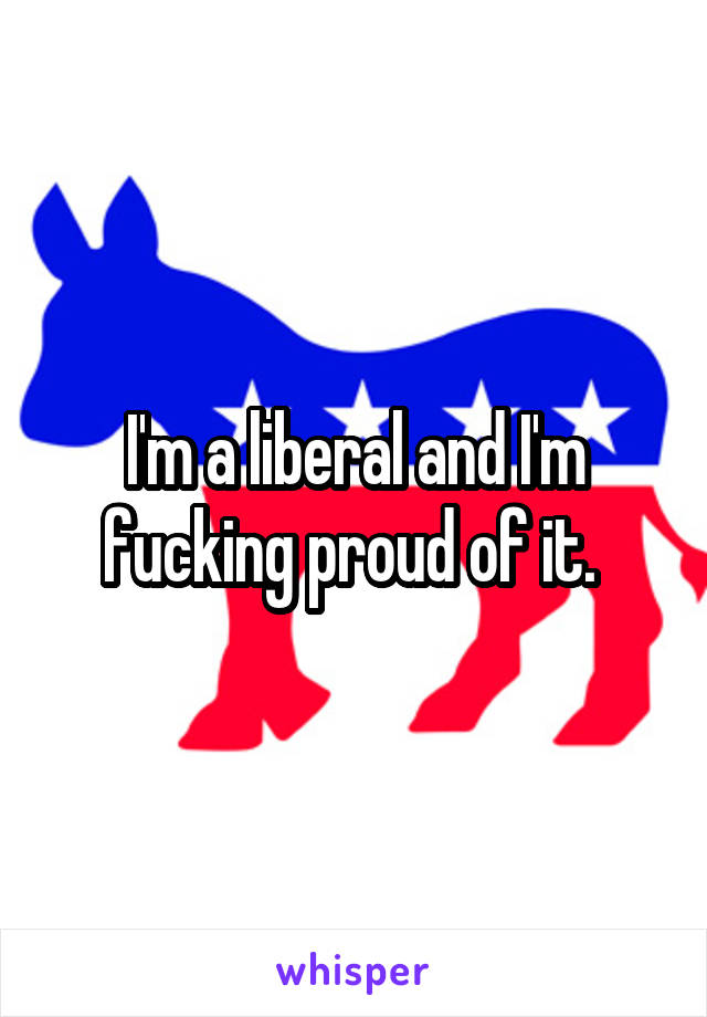 I'm a liberal and I'm fucking proud of it. 