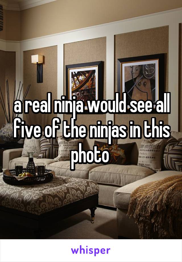 a real ninja would see all five of the ninjas in this photo 