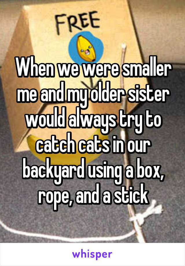 When we were smaller me and my older sister would always try to catch cats in our backyard using a box, rope, and a stick