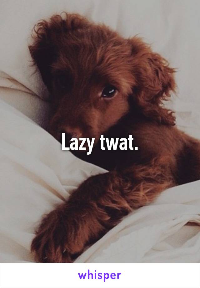 Lazy twat.