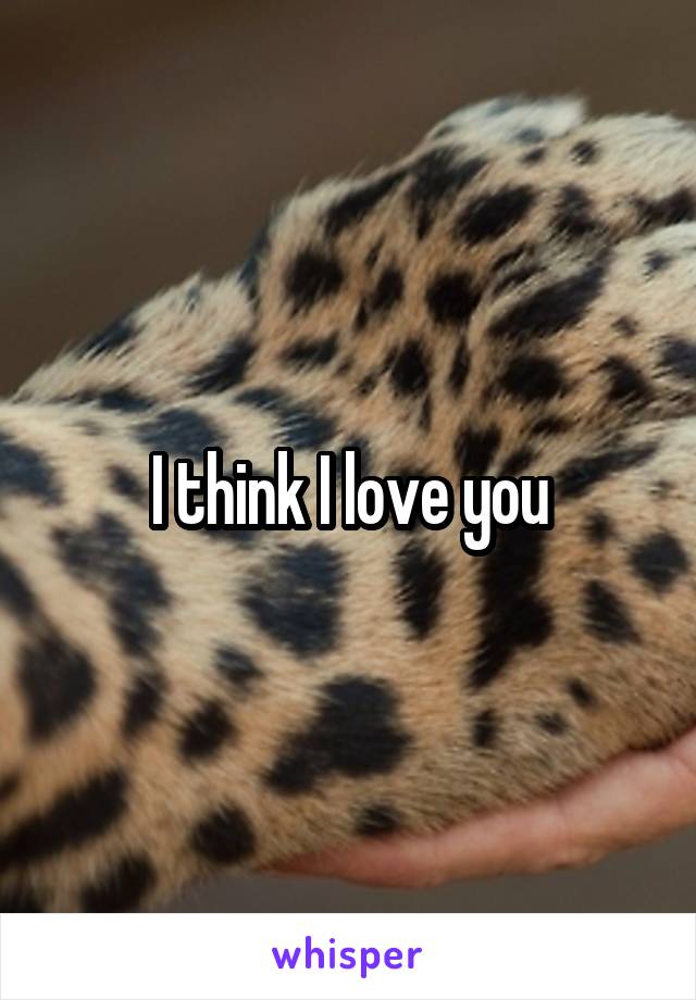 I think I love you