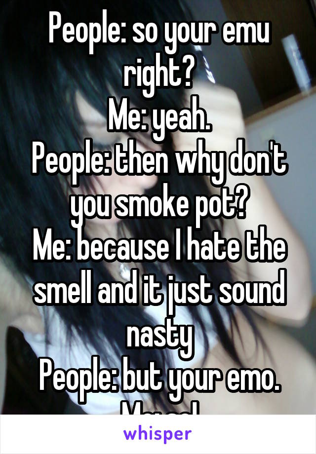 People: so your emu right?
Me: yeah.
People: then why don't you smoke pot?
Me: because I hate the smell and it just sound nasty
People: but your emo.
Me: so!