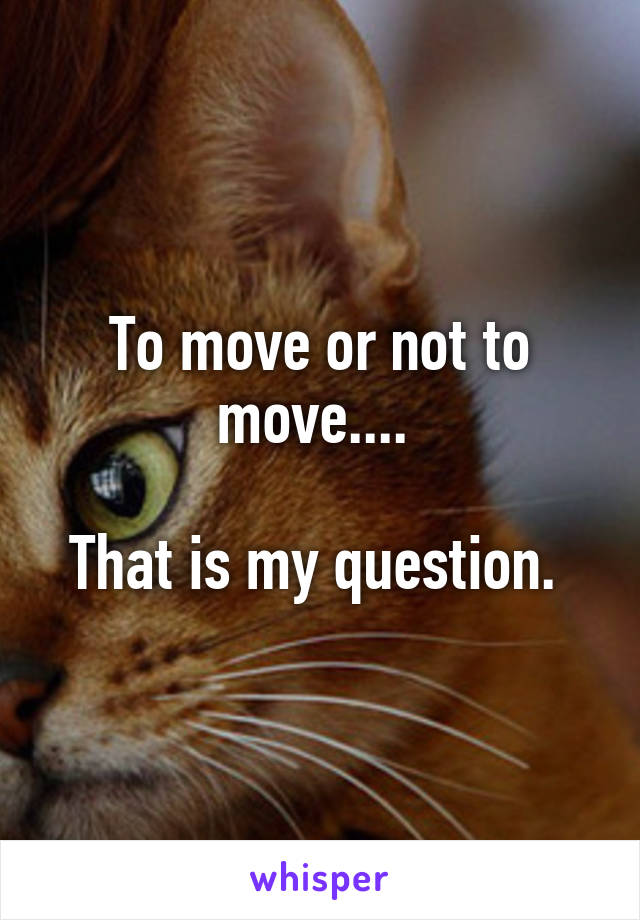 To move or not to move.... 

That is my question. 