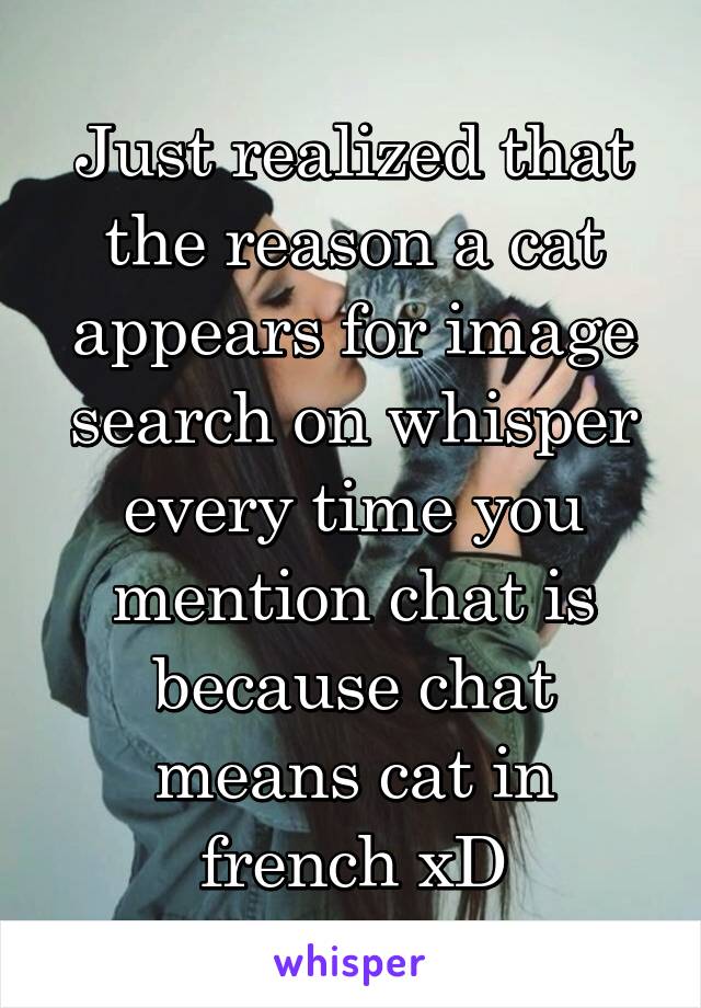 Just realized that the reason a cat appears for image search on whisper every time you mention chat is because chat means cat in french xD