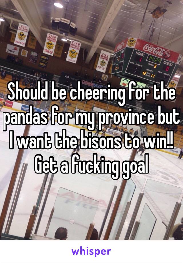 Should be cheering for the pandas for my province but I want the bisons to win!! Get a fucking goal 