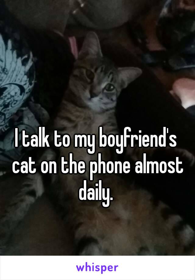 I talk to my boyfriend's cat on the phone almost daily. 