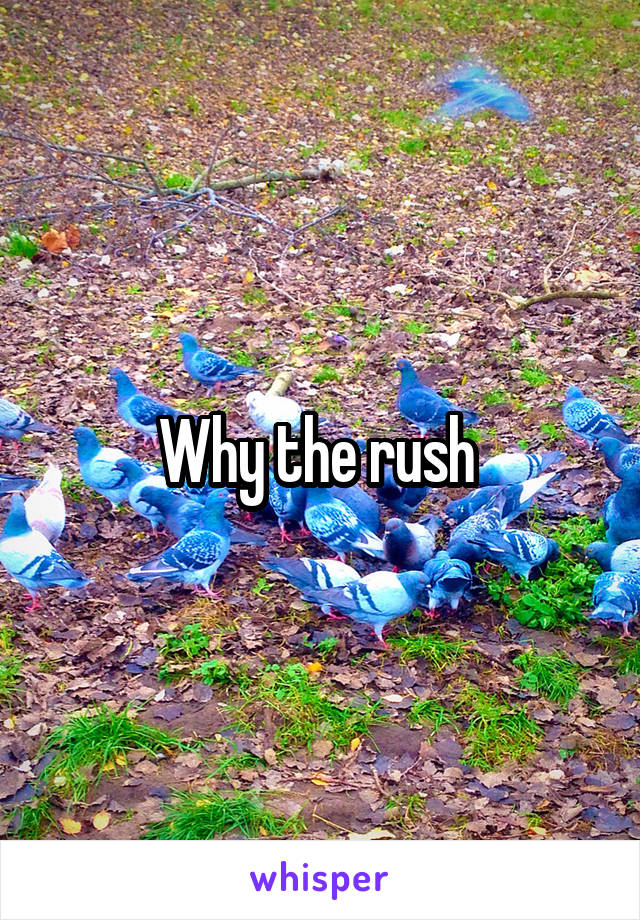 Why the rush 