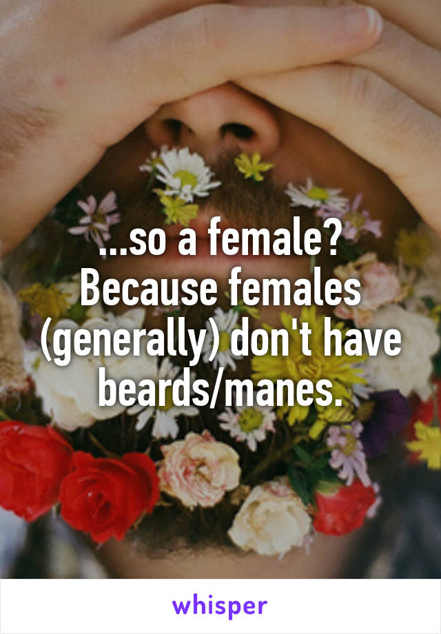 ...so a female?
Because females (generally) don't have beards/manes.