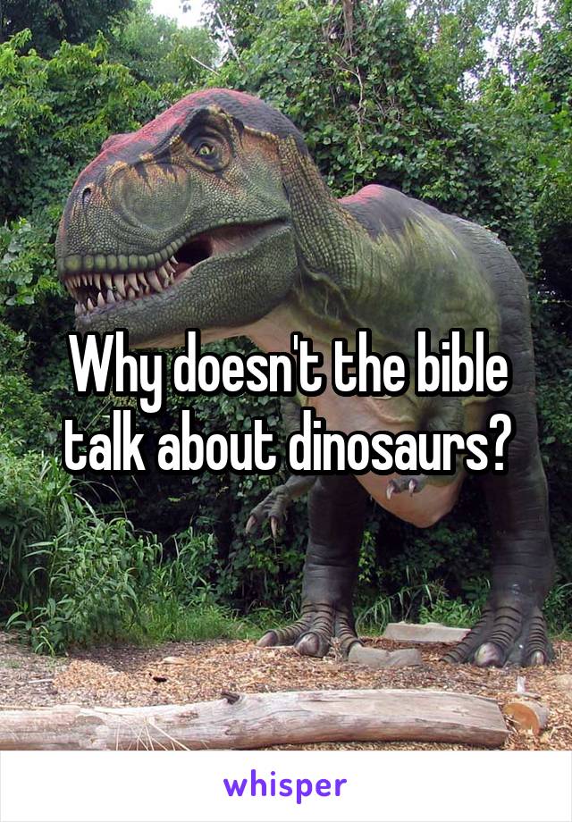 Why doesn't the bible talk about dinosaurs?