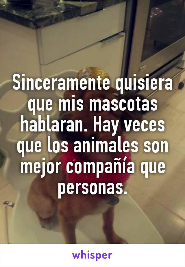 Sinceramente quisiera que mis mascotas hablaran. Hay veces que los animales son mejor compañía que personas.