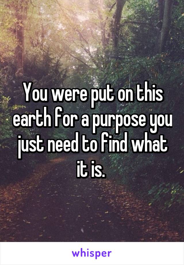 You were put on this earth for a purpose you just need to find what it is. 