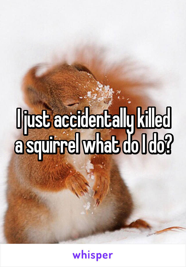 I just accidentally killed a squirrel what do I do?