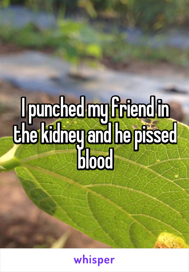 I punched my friend in the kidney and he pissed blood