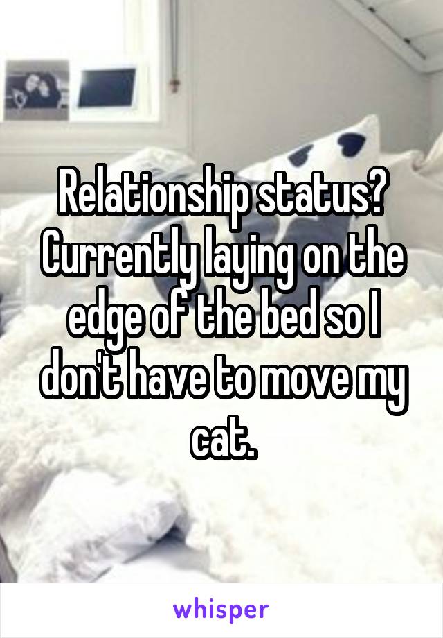 Relationship status? Currently laying on the edge of the bed so I don't have to move my cat.