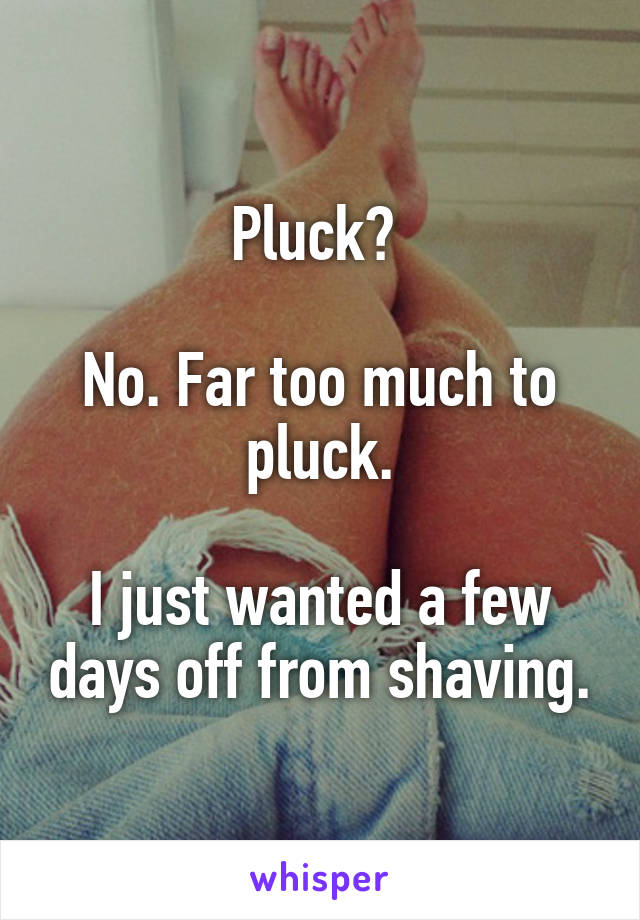 Pluck? 

No. Far too much to pluck.

I just wanted a few days off from shaving.