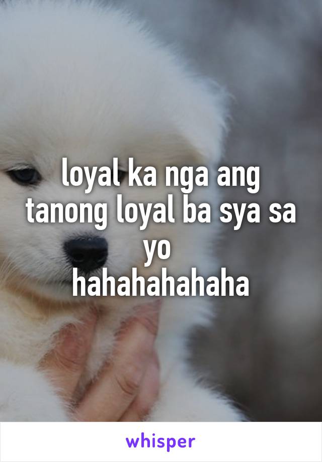 loyal ka nga ang tanong loyal ba sya sa yo 
hahahahahaha