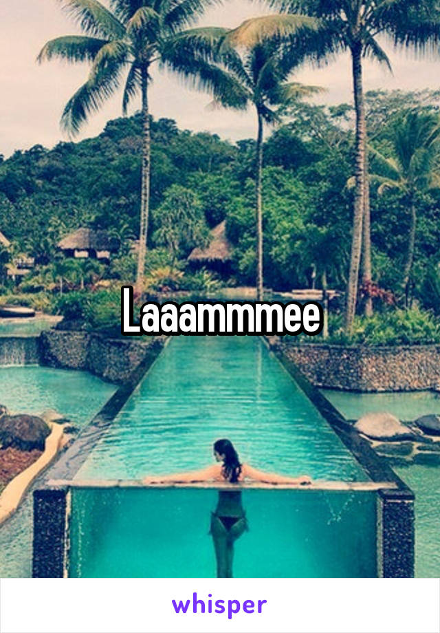 Laaammmee