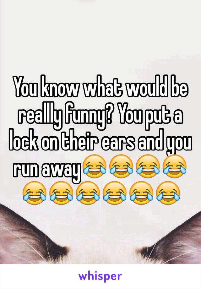 You know what would be reallly funny? You put a lock on their ears and you run away😂😂😂😂😂😂😂😂😂😂