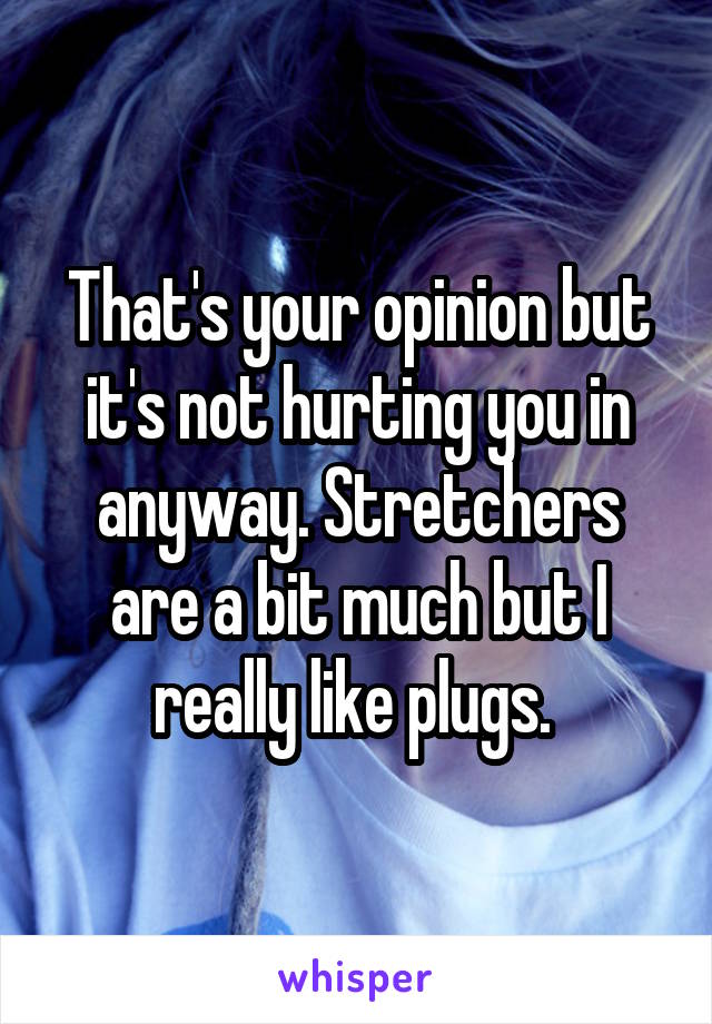 That's your opinion but it's not hurting you in anyway. Stretchers are a bit much but I really like plugs. 