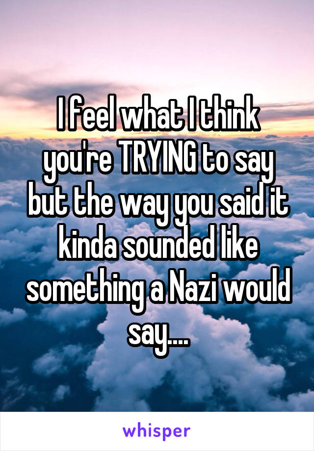 I feel what I think you're TRYING to say but the way you said it kinda sounded like something a Nazi would say....
