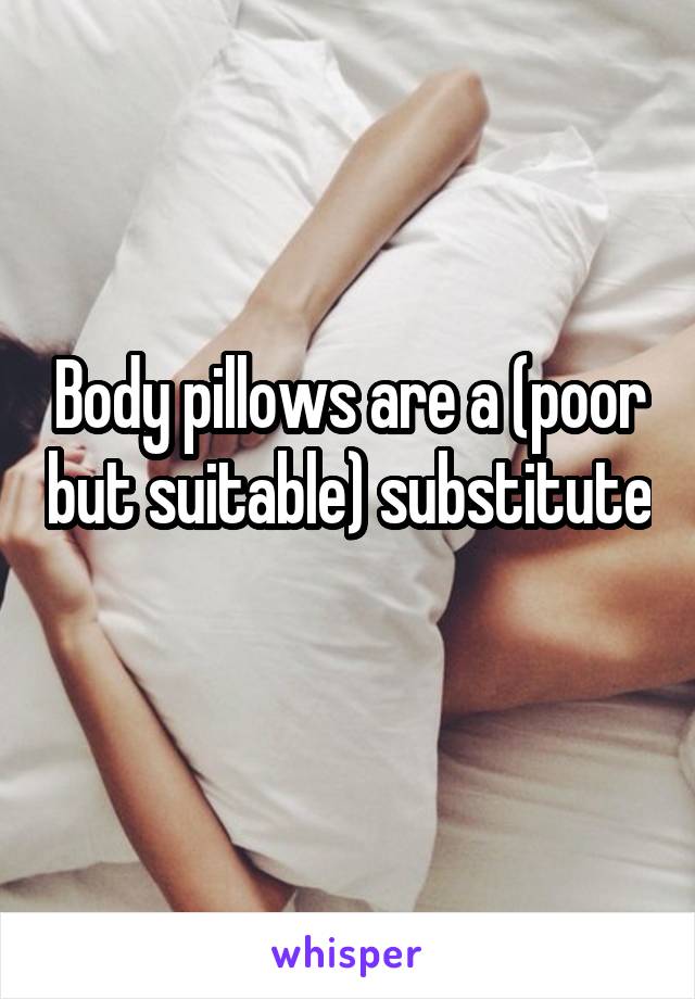 Body pillows are a (poor but suitable) substitute 