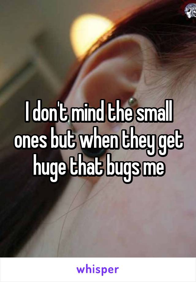 I don't mind the small ones but when they get huge that bugs me