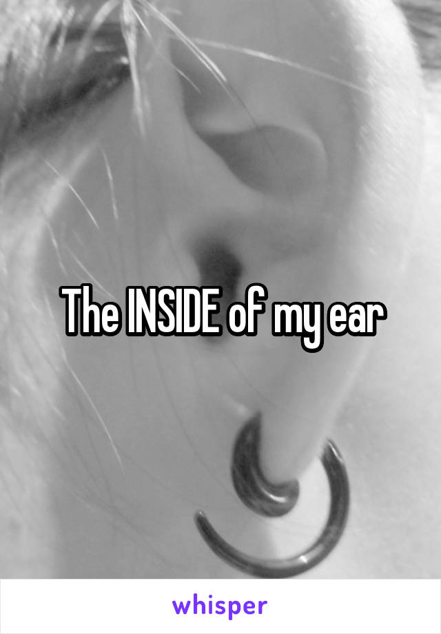 the-inside-of-my-ear